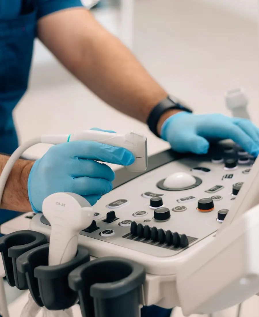 Mãos de veterinária ajustando o aparelho de ultrassom